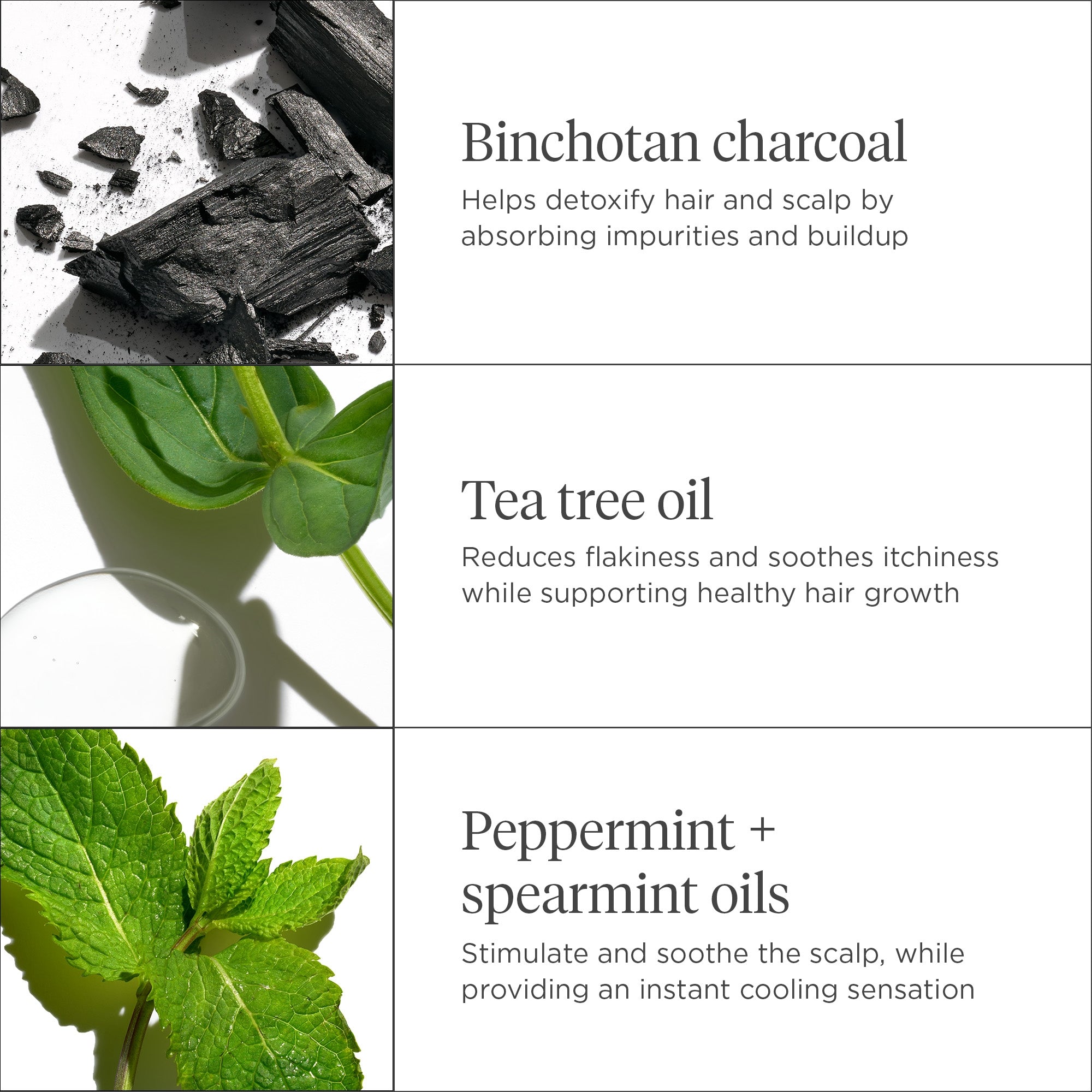 Scalp Revival Charcoal + Tea Tree Scalp Treatment - Briogeo