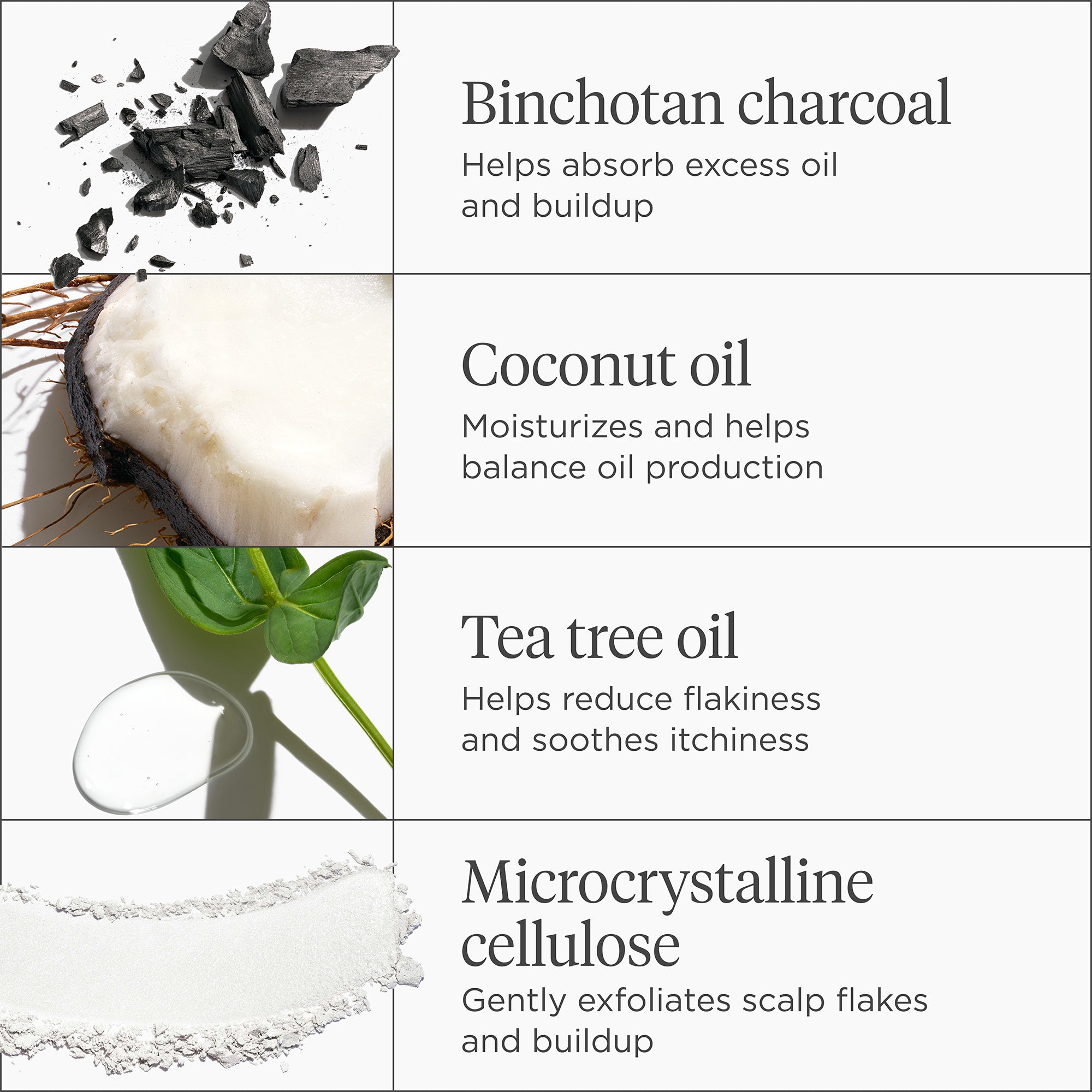 Scalp Revival™ Charcoal + Coconut Oil Micro-Exfoliating Shampoo 2 oz - Briogeo