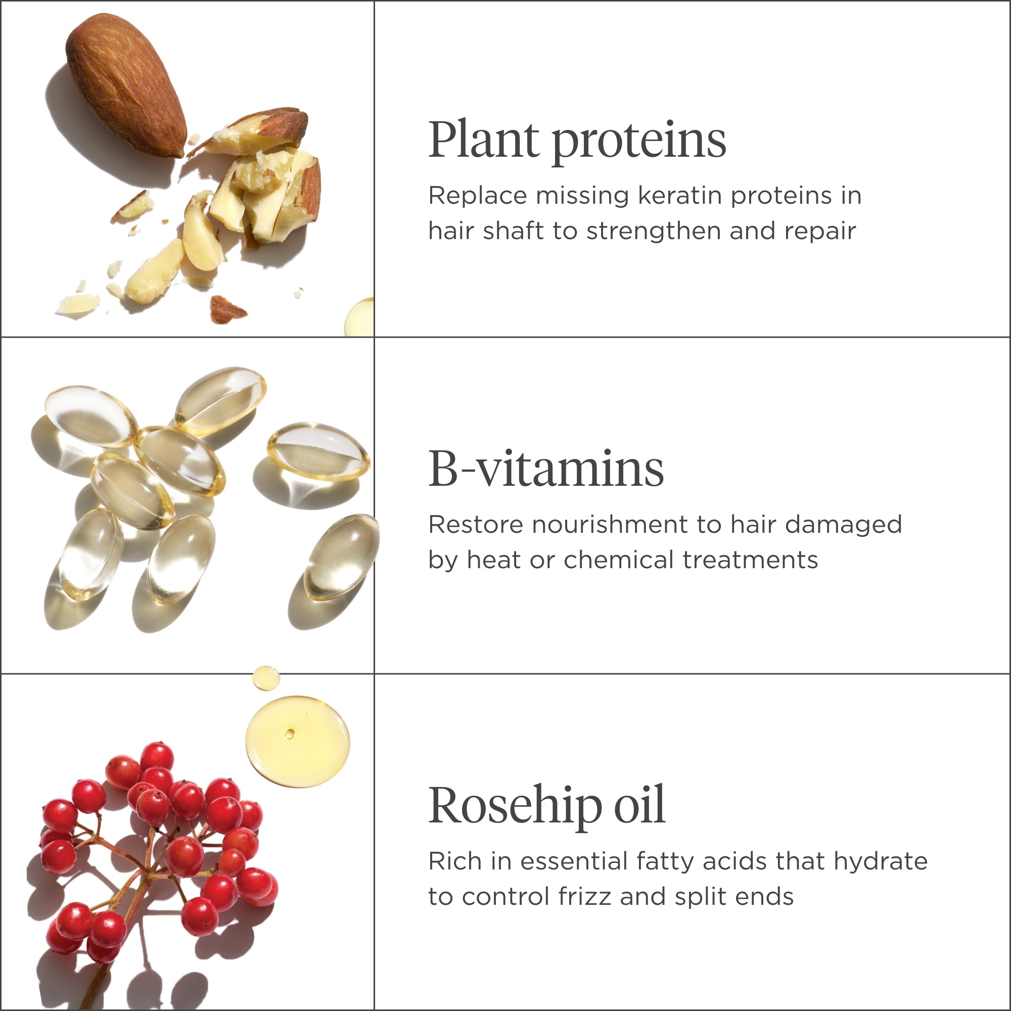 Don’t Despair Repair!™ Deep Conditioning Mask 2 oz - Briogeo