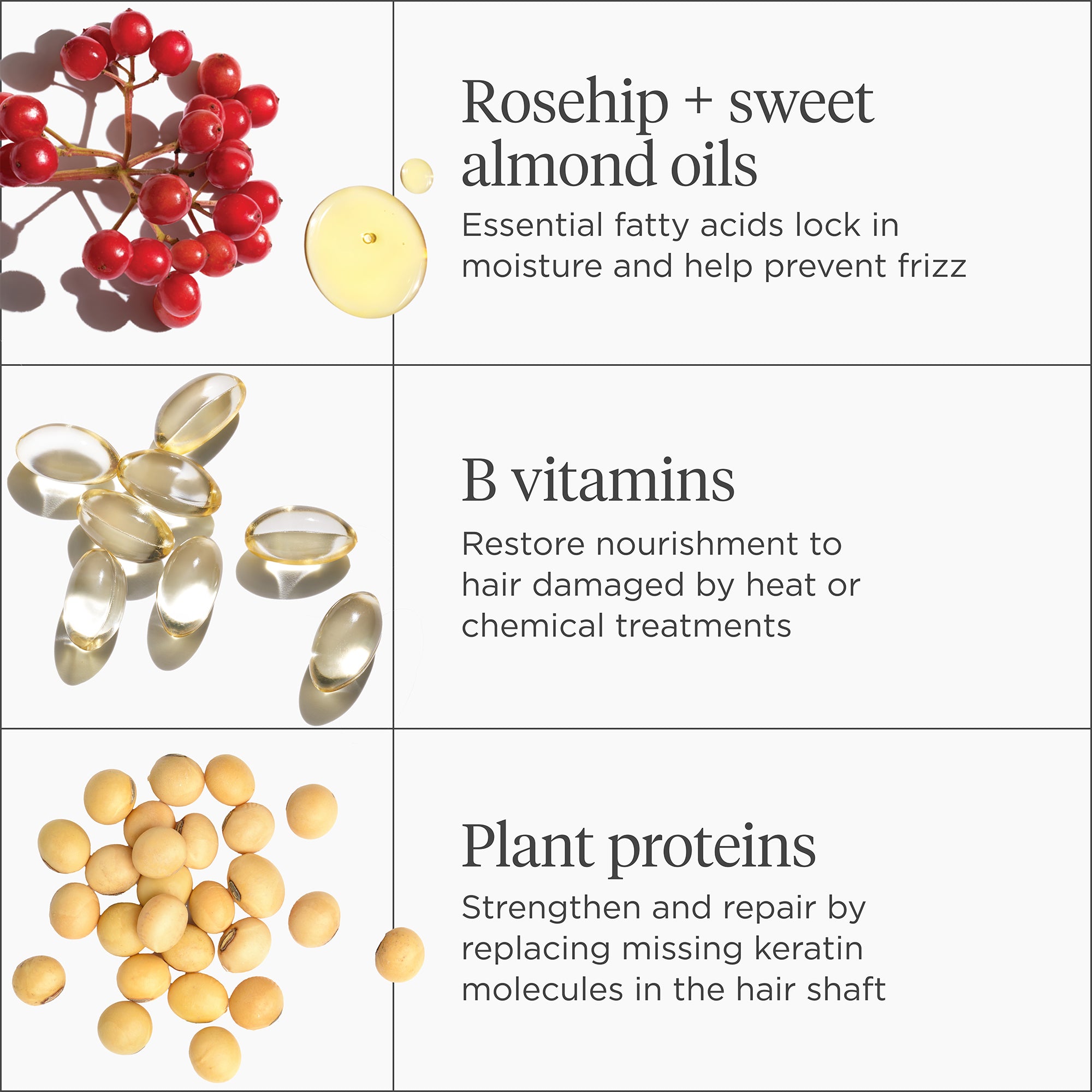 Don't Despair Repair! Super Moisture Conditioner 8 oz - Briogeo