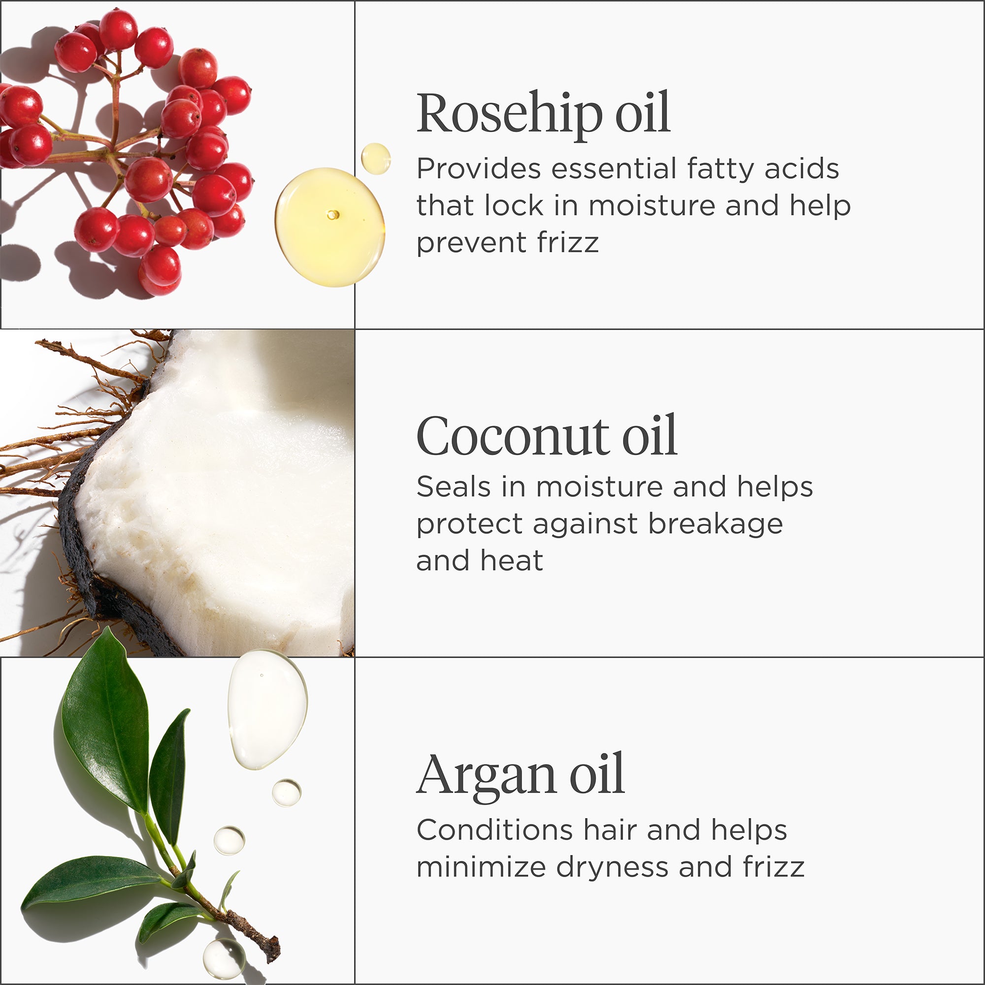 Farewell Frizz Rosarco Milk Leave-in Conditioning Spray | Leave In Conditioner - Briogeo