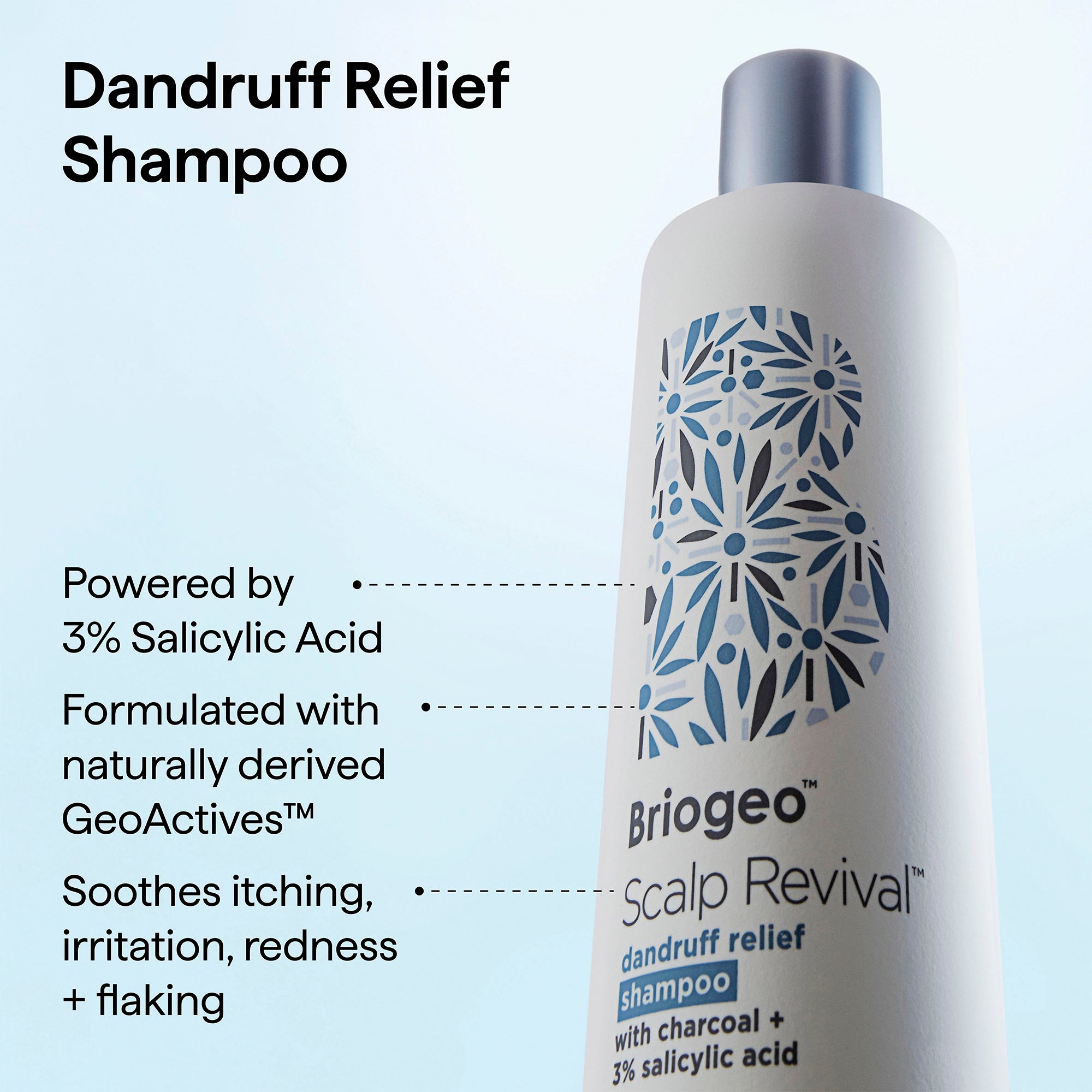 Scalp Revival™ Dandruff Relief Shampoo with Charcoal + 3% Salicylic Acid - Briogeo